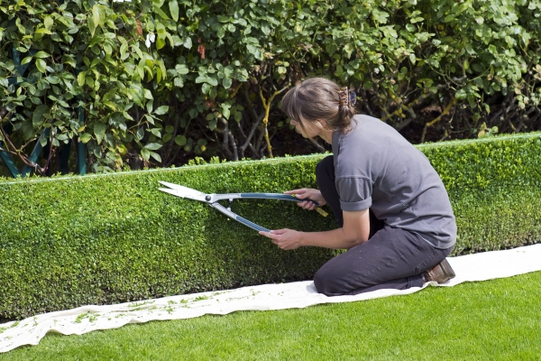 jardinier
