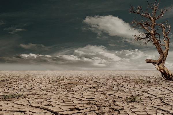 désert la sécheresse