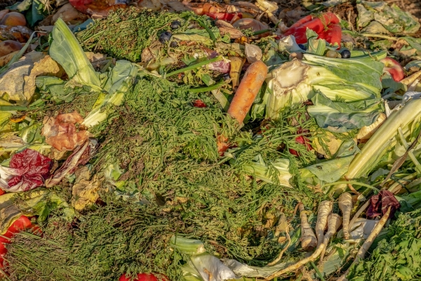 Composter 1