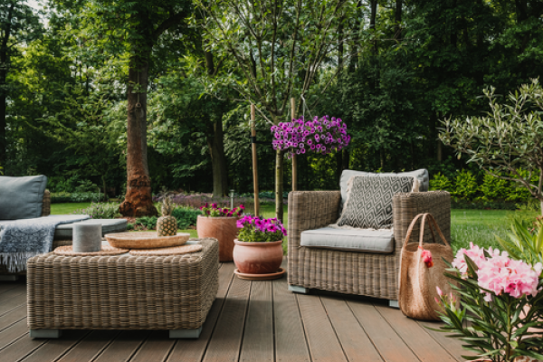 Plante terrasse