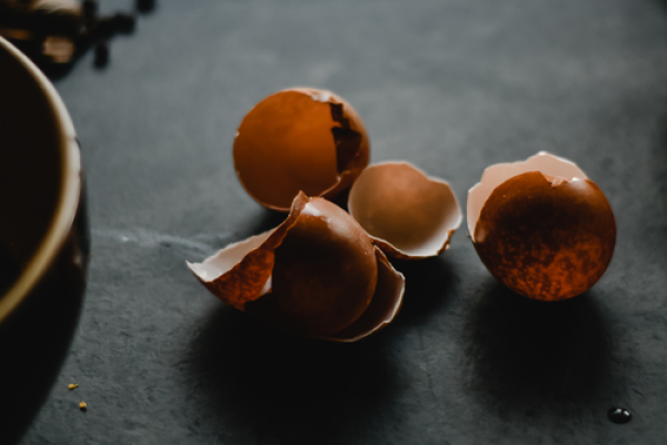Coquilles d'œufs concassées