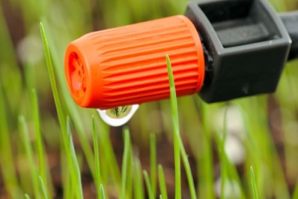 Système goutte-à-goutte