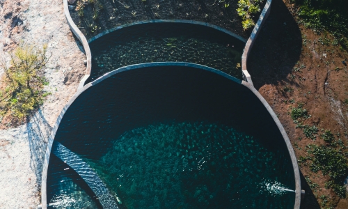 Etang de baignade écologique