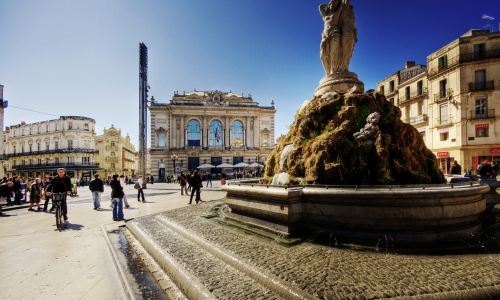 MONTPELLIER