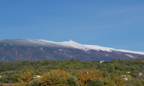 Vaucluse
