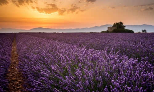 Alpes-de-Haute-Provence