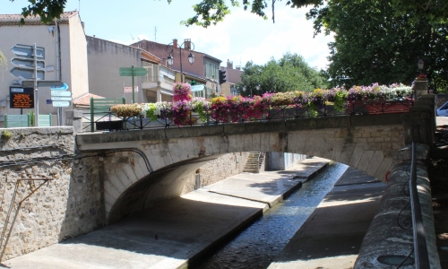 AURIOL