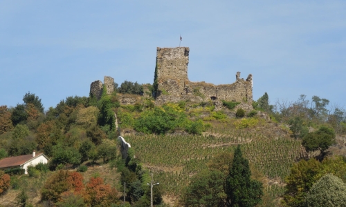 VIENNE