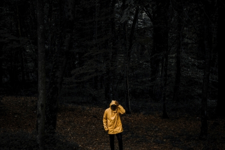 Promenade homme forêt