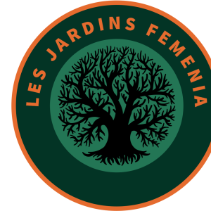 photo de profil de Theo Femenia