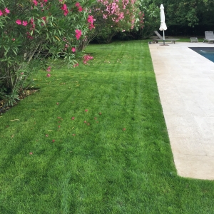 photo de profil de Clement Pecout