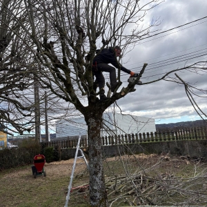photo de profil de CG paysage et service