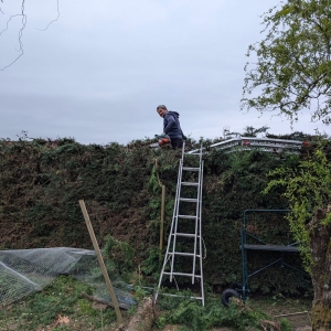 photo de profil de LES ARPENTS VERTS