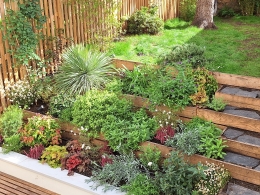 photo de profile de HARVEST