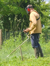 photo de profile de BAREDI Multiservices