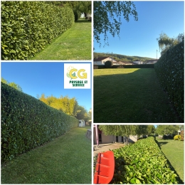 photo de profile de CG paysage et service