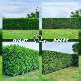 photo de profile de Jmp Jardinerie