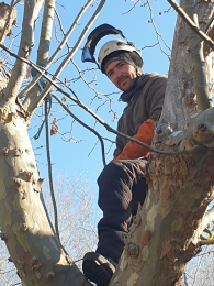 photo de profile de Leloup Grimpeur