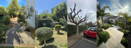 photo de profile de Ml JARDINAGE