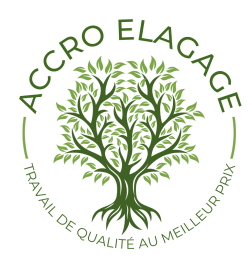 photo de profile de Accro Elagage 83