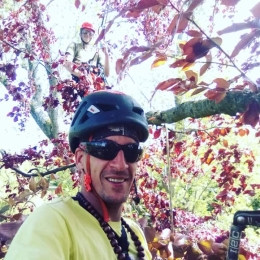 photo de profile de Artborigéne