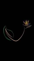 photo de profile de Marius Azur Jardin