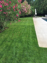 photo de profile de Clement Pecout