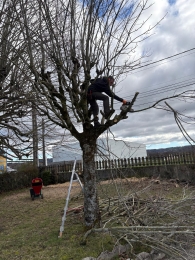 photo de profile de CG paysage et service