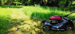 photo de profile de Phil au vert