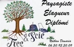 photo de profile de Tree & Scie