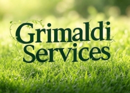 photo de profile de Grimaldi services