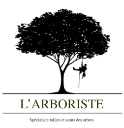 photo de profile de L’arboriste