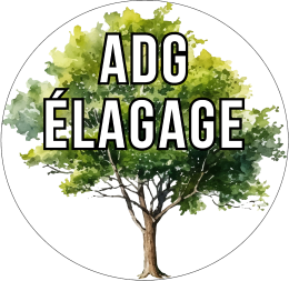 photo de profile de Au Détour d'un Ginkgo