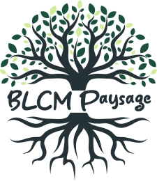 photo de profile de Benjamin Mauduit