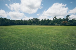 photo de profile de World is Garden