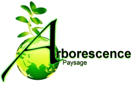 photo de profile de arborescence