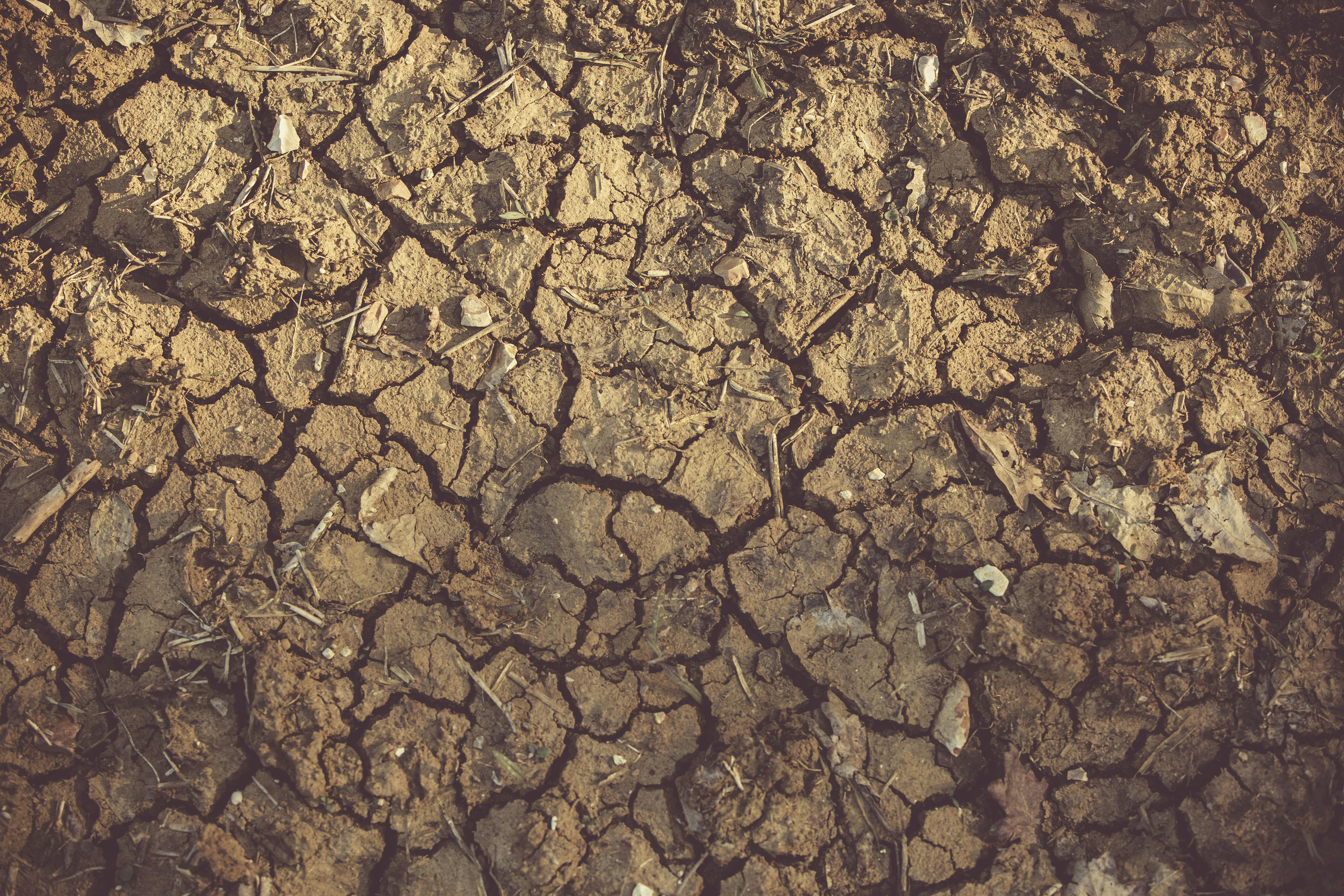 Terre, nature, environnement, sécheresse