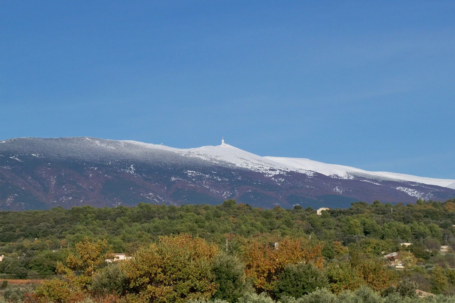 Vaucluse