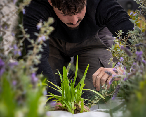 Aménagement de jardin